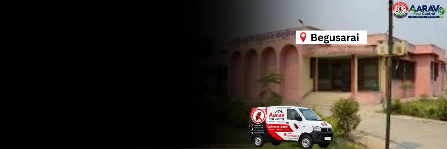 cockroach control begusarai bihar, cockroach pest control begusarai, cockroach treatment begusarai bihar, cockroach control in begusarai, cockroach control service begusarai, best cockroach control begusarai, professional cockroach treatment begusarai, aarav pest control begusarai, cockroach removal begusarai, home cockroach control begusarai, commercial cockroach control begusarai, german cockroach control begusarai, cockroach gel treatment begusarai, cockroach spray treatment begusarai, cockroach control price begusarai, cockroach treatment price begusarai, cockroach control price list begusarai, cockroach treatment cost begusarai, affordable cockroach treatment begusarai, cockroach control in bihar
