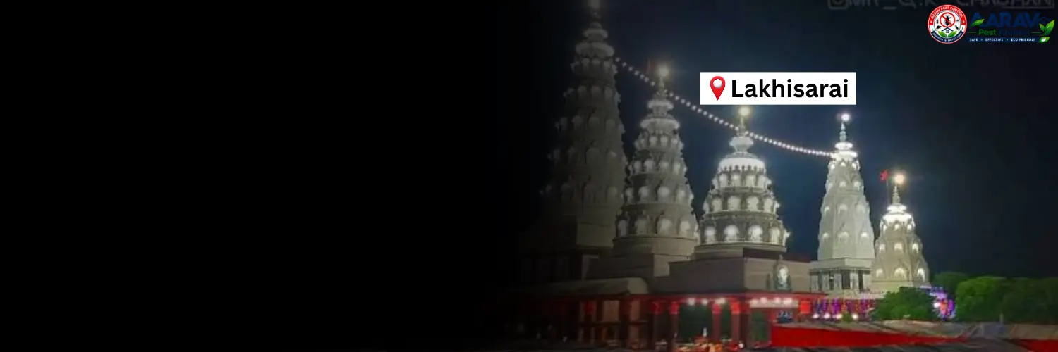 cockroach control lakhisarai bihar, cockroach pest control lakhisarai, cockroach treatment lakhisarai bihar, cockroach control in lakhisarai, cockroach control service lakhisarai, best cockroach control lakhisarai, professional cockroach treatment lakhisarai, aarav pest control lakhisarai, cockroach removal lakhisarai, home cockroach control lakhisarai, commercial cockroach control lakhisarai, kitchen cockroach control lakhisarai, cockroach infestation treatment lakhisarai, cockroach gel treatment lakhisarai, cockroach spray treatment lakhisarai, cockroach prevention service lakhisarai, cockroach control price lakhisarai, cockroach treatment price lakhisarai, cockroach control price list lakhisarai, cockroach treatment cost lakhisarai, affordable cockroach treatment lakhisarai, cockroach control charges lakhisarai, cockroach control in bihar
