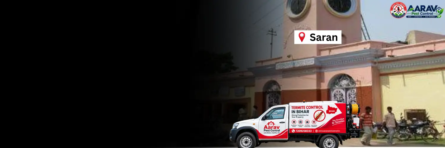 termite control in saran, termite treatment in saran, termite control saran, termite treatment saran, best termite control in saran, professional termite control saran, affordable termite treatment saran, termite pest control saran, termite exterminator saran, termite removal service saran, termite inspection saran, termite prevention saran, anti termite treatment saran, pre construction termite treatment saran, post construction termite treatment saran, residential termite control saran, commercial termite control saran, termite control company in saran, termite control service near me saran, termite control price in saran, termite treatment price in saran, termite control cost saran, termite treatment cost saran, aarav pest control saran, aarav pest control termite treatment.
