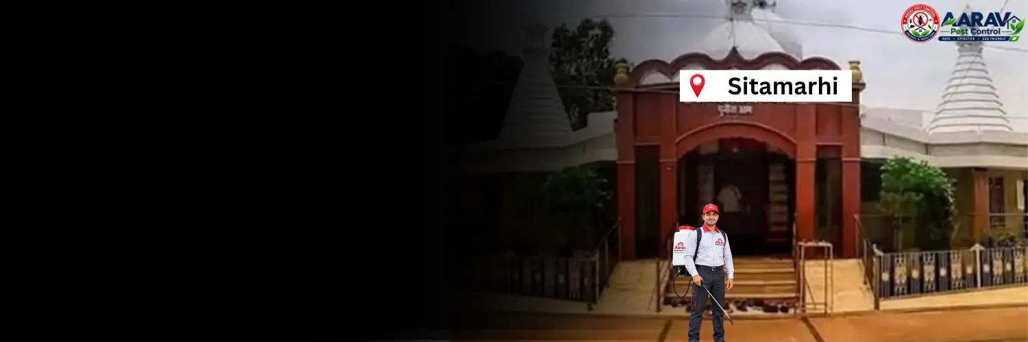 termite control in sitamarhi, termite treatment in sitamarhi, termite control sitamarhi, termite treatment sitamarhi, best termite control in sitamarhi, professional termite control sitamarhi, affordable termite treatment sitamarhi, termite pest control sitamarhi, termite exterminator sitamarhi, termite removal service sitamarhi, termite inspection sitamarhi, termite prevention sitamarhi, anti termite treatment sitamarhi, pre construction termite treatment sitamarhi, post construction termite treatment sitamarhi, residential termite control sitamarhi, commercial termite control sitamarhi, termite control company in sitamarhi, termite control service near me sitamarhi, termite control price in sitamarhi, termite treatment price in sitamarhi, termite control cost sitamarhi, termite treatment cost sitamarhi, aarav pest control sitamarhi, aarav pest control termite treatment.