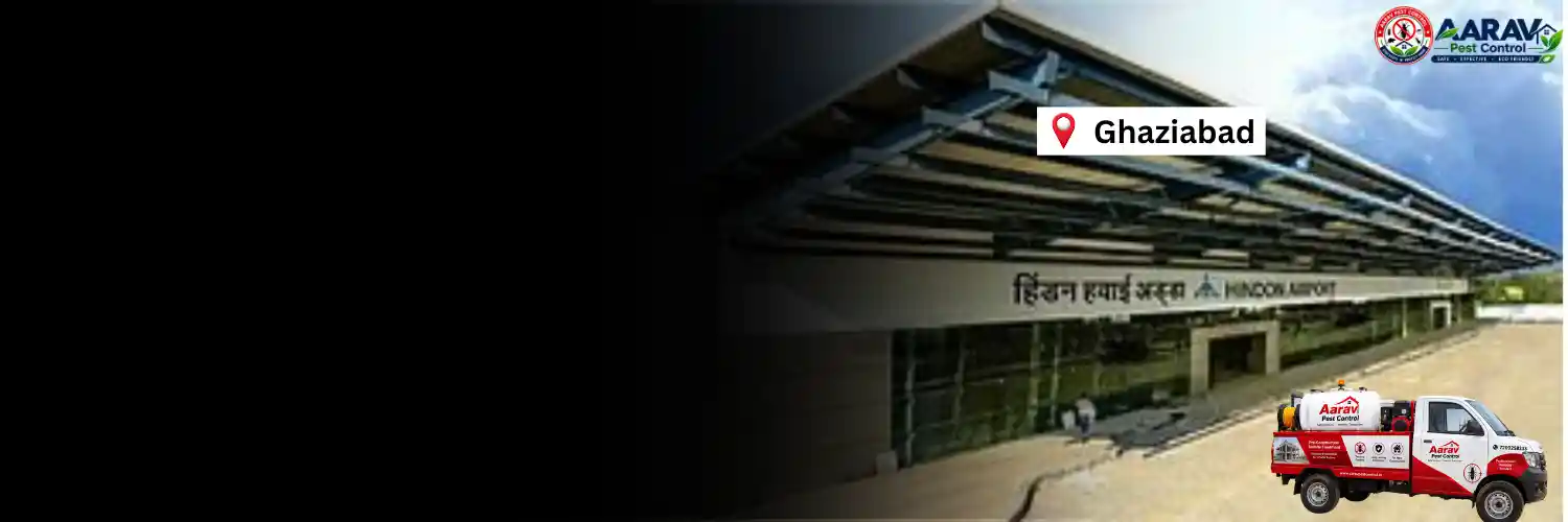 pre-construction termite treatment in ghaziabad, pre construction termite treatment in ghaziabad, pre-construction anti termite treatment in ghaziabad, pre construction termite control in ghaziabad, pre-construction termite treatment price in ghaziabad, pre construction termite treatment cost in ghaziabad, pre-construction termite treatment charges in ghaziabad, pre construction anti termite treatment price in ghaziabad, termite treatment price list in ghaziabad, pre-construction termite treatment rates in ghaziabad, pre construction termite treatment quotation in ghaziabad, pre-construction termite control price in ghaziabad, pre construction anti termite treatment cost in ghaziabad, pre-construction termite treatment service in ghaziabad, pre construction termite treatment company in ghaziabad
