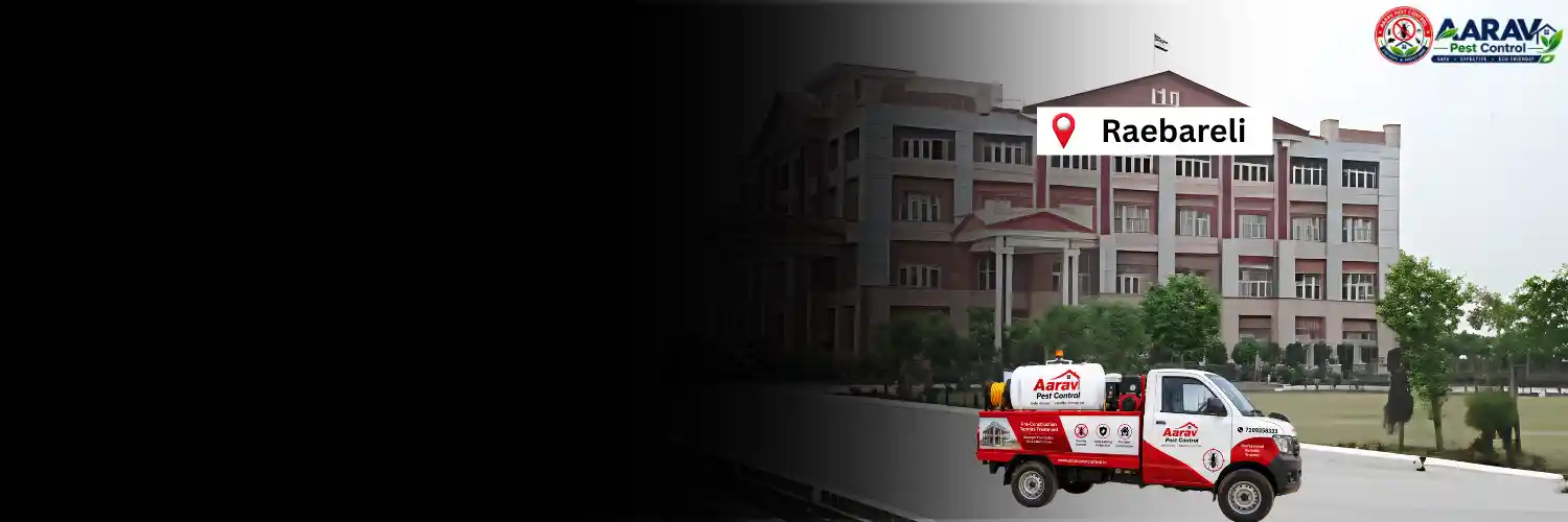 pre-construction termite treatment in raebareli, pre construction termite treatment in raebareli, pre-construction termite control in raebareli, pre construction termite control in raebareli, pre-construction termite treatment price in raebareli, pre construction termite treatment cost in raebareli, pre-construction termite treatment charges in raebareli, pre construction termite treatment price list in raebareli, termite treatment price list in raebareli, pre-construction termite treatment rates in raebareli, pre construction termite treatment quotation in raebareli, pre-construction termite control price in raebareli, pre-construction termite treatment service in raebareli, pre construction termite treatment company in raebareli, pre-construction termite treatment cost per sq ft in raebareli, pre-construction termite treatment in uttar pradesh, pre construction termite treatment in uttar pradesh, pre-construction termite control in uttar pradesh, pre construction termite control in uttar pradesh, pre-construction termite treatment price in uttar pradesh, pre construction termite treatment cost in uttar pradesh, termite treatment price list in uttar pradesh
