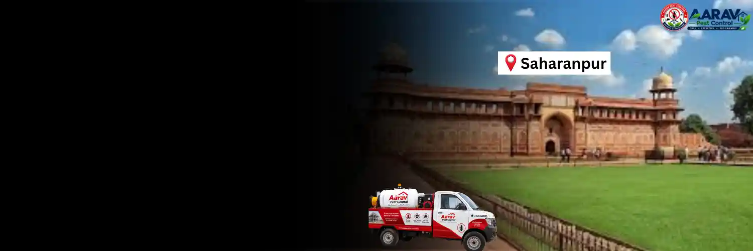 pre-construction termite treatment in saharanpur, pre construction termite treatment in saharanpur, pre-construction termite control in saharanpur, pre construction termite control in saharanpur, pre-construction termite treatment price in saharanpur, pre construction termite treatment cost in saharanpur, pre-construction termite treatment charges in saharanpur, pre construction termite treatment price list in saharanpur, termite treatment price list in saharanpur, pre-construction termite treatment rates in saharanpur, pre construction termite treatment quotation in saharanpur, pre-construction termite control price in saharanpur, pre-construction termite treatment service in saharanpur, pre construction termite treatment company in saharanpur, pre-construction termite treatment cost per sq ft in saharanpur, pre-construction termite treatment in uttar pradesh, pre construction termite treatment in uttar pradesh, pre-construction termite control in uttar pradesh, pre construction termite control in uttar pradesh, pre-construction termite treatment price in uttar pradesh, pre construction termite treatment cost in uttar pradesh, termite treatment price list in uttar pradesh