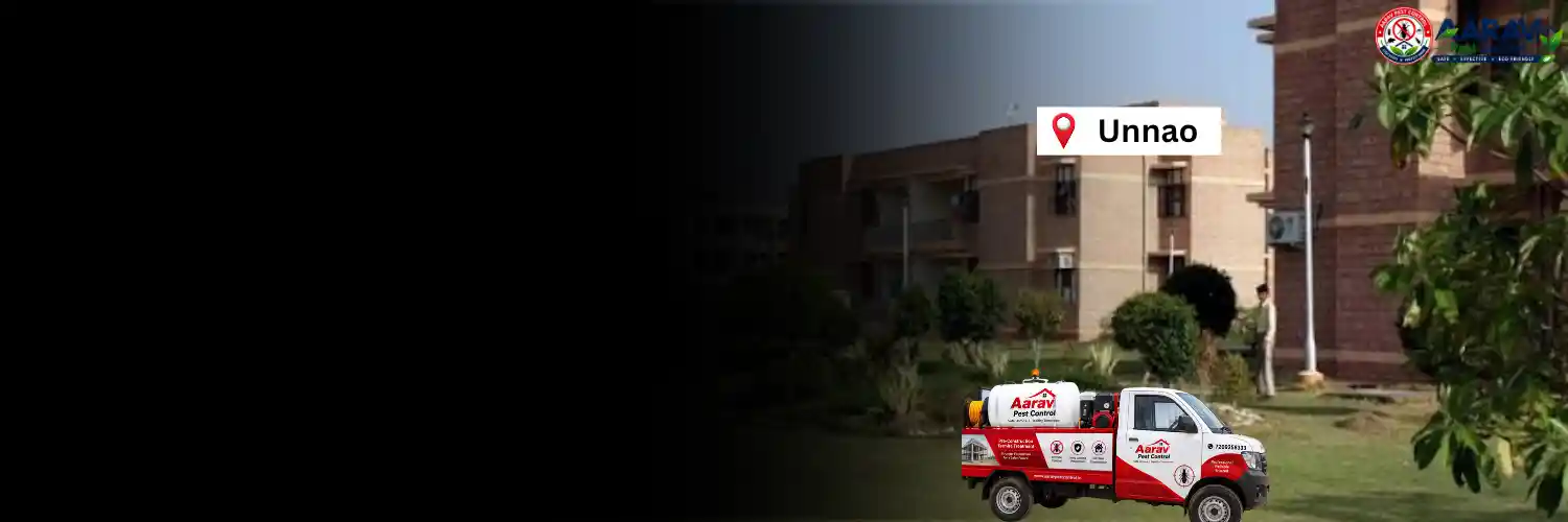 pre-construction termite treatment in unnao, pre construction termite treatment in unnao, pre-construction termite control in unnao, pre construction termite control in unnao, pre-construction termite treatment price in unnao, pre construction termite treatment cost in unnao, pre-construction termite treatment charges in unnao, pre construction termite treatment price list in unnao, termite treatment price list in unnao, pre-construction termite treatment rates in unnao, pre construction termite treatment quotation in unnao, pre-construction termite control price in unnao, pre-construction termite treatment service in unnao, pre construction termite treatment company in unnao, pre-construction termite treatment cost per sq ft in unnao, pre-construction termite treatment in uttar pradesh, pre construction termite treatment in uttar pradesh, pre-construction termite control in uttar pradesh, pre construction termite control in uttar pradesh, pre-construction termite treatment price in uttar pradesh, pre construction termite treatment cost in uttar pradesh, termite treatment price list in uttar pradesh