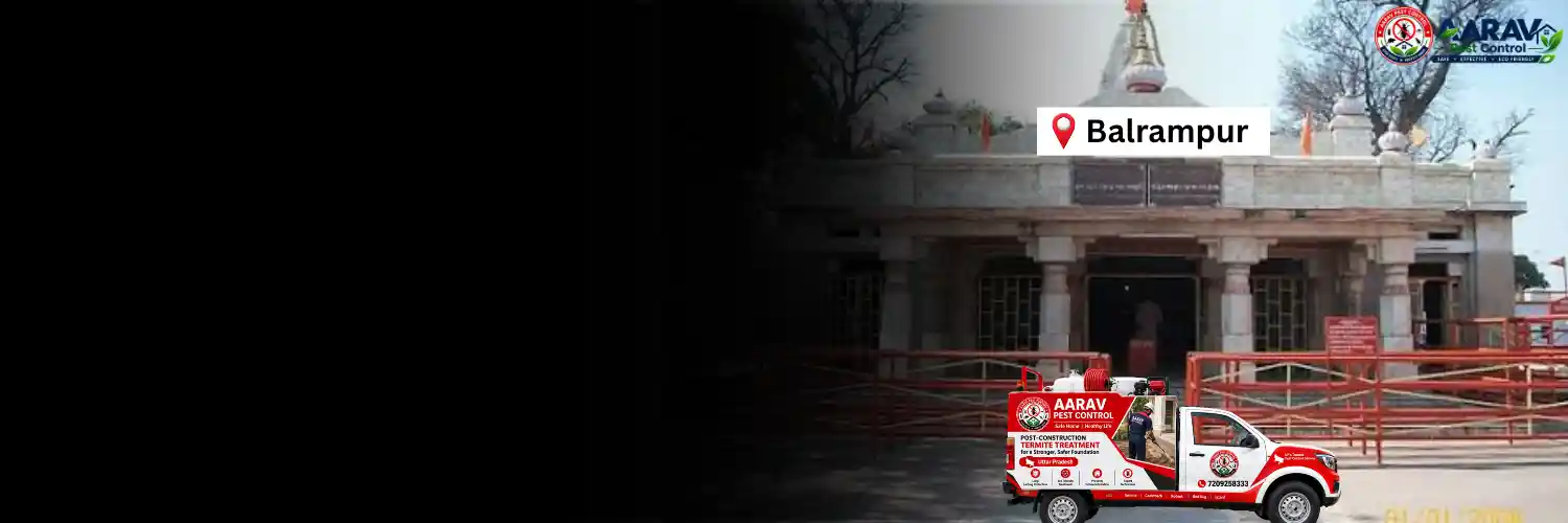 post-construction termite treatment in balrampur, post-construction termite treatment price in balrampur, post-construction termite treatment cost in balrampur, post-construction termite control in balrampur, post-construction termite treatment service in balrampur, termite treatment price list in balrampur, termite control service in balrampur, anti termite treatment in balrampur, termite treatment company in balrampur, aarav pest control balrampur, post-construction termite treatment in uttar pradesh, termite treatment price in uttar pradesh, termite control service in uttar pradesh