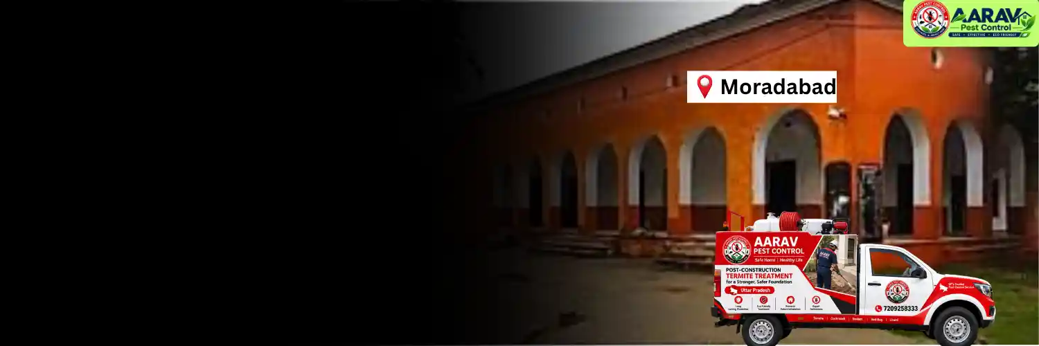 post-construction termite treatment in moradabad, post-construction termite treatment price in moradabad, post-construction termite treatment cost in moradabad, post-construction termite control in moradabad, post-construction termite treatment service in moradabad, termite treatment price list in moradabad, termite control service in moradabad, termite treatment company in moradabad, termite treatment service in moradabad, aarav pest control moradabad, post-construction termite treatment in uttar pradesh, termite treatment price in uttar pradesh, termite control service in uttar pradesh