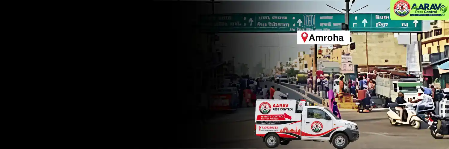termite control in amroha, termite treatment in amroha, termite control amroha, termite treatment amroha, best termite control in amroha, professional termite control amroha, affordable termite treatment amroha, termite pest control amroha, termite exterminator amroha, termite removal service amroha, termite inspection amroha, termite prevention amroha, anti termite treatment amroha, pre construction termite treatment amroha, post construction termite treatment amroha, residential termite control amroha, commercial termite control amroha, termite control company in amroha, termite control service near me amroha, termite control price in amroha, termite treatment price in amroha, termite control cost amroha, termite treatment cost amroha, aarav pest control amroha, aarav pest control termite treatment.