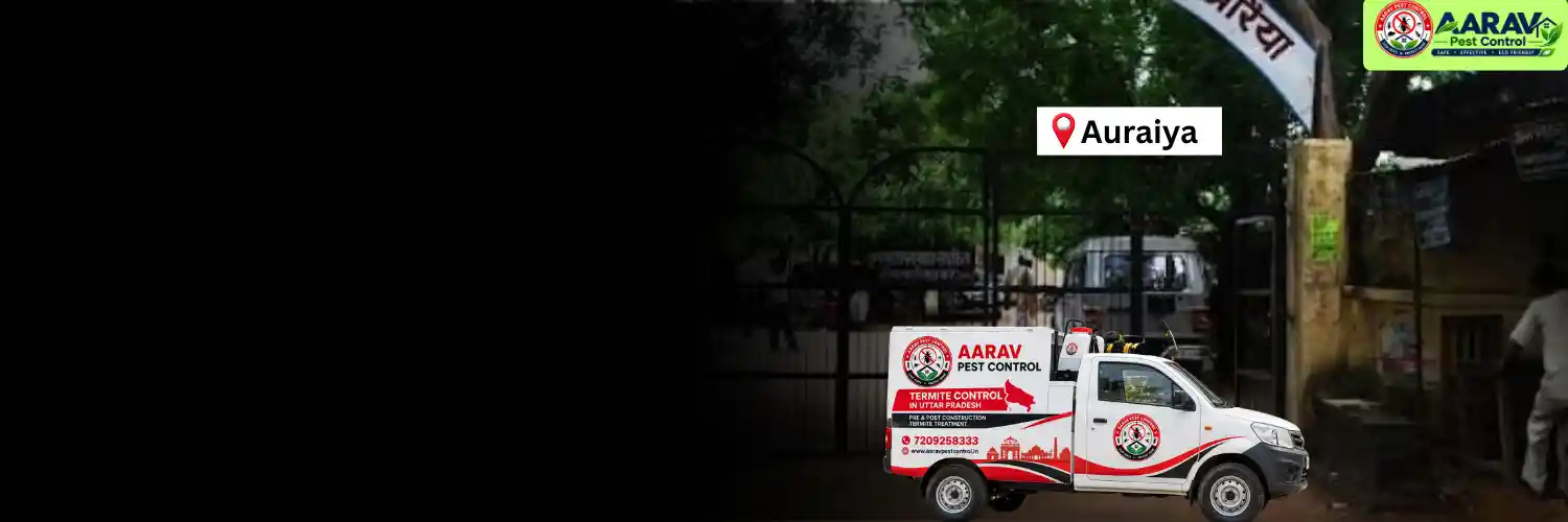 termite control in auraiya, termite treatment in auraiya, termite control auraiya, termite treatment auraiya, best termite control in auraiya, professional termite control auraiya, affordable termite treatment auraiya, termite pest control auraiya, termite exterminator auraiya, termite removal service auraiya, termite inspection auraiya, termite prevention auraiya, anti termite treatment auraiya, pre construction termite treatment auraiya, post construction termite treatment auraiya, residential termite control auraiya, commercial termite control auraiya, termite control company in auraiya, termite control service near me auraiya, termite control price in auraiya, termite treatment price in auraiya, termite control cost auraiya, termite treatment cost auraiya, aarav pest control auraiya, aarav pest control termite treatment.