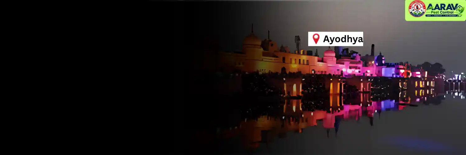 termite control in ayodhya, termite treatment in ayodhya, termite control ayodhya, termite treatment ayodhya, best termite control in ayodhya, professional termite control ayodhya, affordable termite treatment ayodhya, termite pest control ayodhya, termite exterminator ayodhya, termite removal service ayodhya, termite inspection ayodhya, termite prevention ayodhya, anti termite treatment ayodhya, pre construction termite treatment ayodhya, post construction termite treatment ayodhya, residential termite control ayodhya, commercial termite control ayodhya, termite control company in ayodhya, termite control service near me ayodhya, termite control price in ayodhya, termite treatment price in ayodhya, termite control cost ayodhya, termite treatment cost ayodhya, aarav pest control ayodhya, aarav pest control termite treatment.