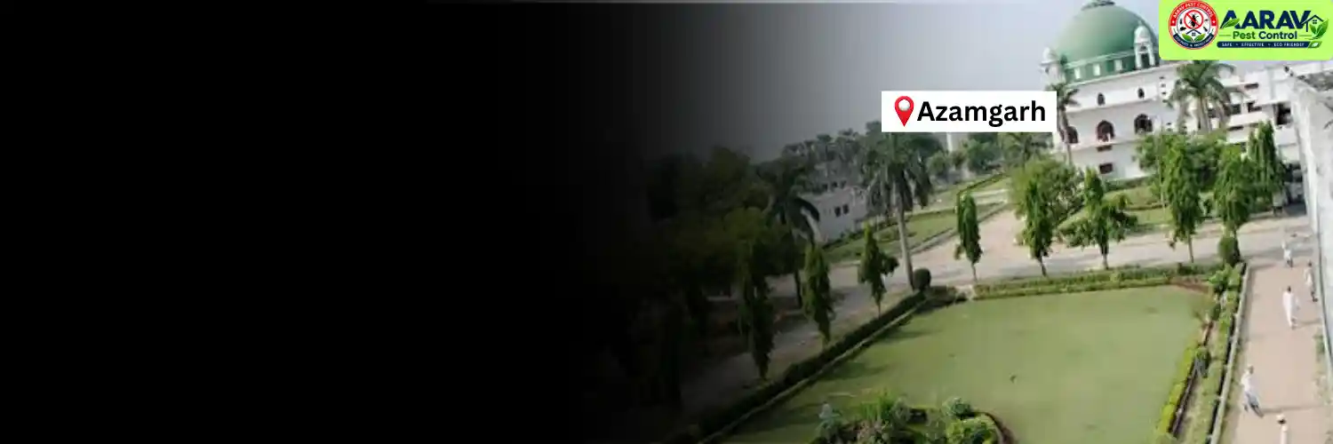 termite control in azamgarh, termite treatment in azamgarh, termite control azamgarh, termite treatment azamgarh, best termite control in azamgarh, professional termite control azamgarh, affordable termite treatment azamgarh, termite pest control azamgarh, termite exterminator azamgarh, termite removal service azamgarh, termite inspection azamgarh, termite prevention azamgarh, anti termite treatment azamgarh, pre construction termite treatment azamgarh, post construction termite treatment azamgarh, residential termite control azamgarh, commercial termite control azamgarh, termite control company in azamgarh, termite control service near me azamgarh, termite control price in azamgarh, termite treatment price in azamgarh, termite control cost azamgarh, termite treatment cost azamgarh, aarav pest control azamgarh, aarav pest control termite treatment.