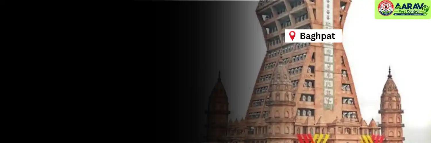 termite control in baghpat, termite treatment in baghpat, termite control baghpat, termite treatment baghpat, best termite control in baghpat, professional termite control baghpat, affordable termite treatment baghpat, termite pest control baghpat, termite exterminator baghpat, termite removal service baghpat, termite inspection baghpat, termite prevention baghpat, anti termite treatment baghpat, pre construction termite treatment baghpat, post construction termite treatment baghpat, residential termite control baghpat, commercial termite control baghpat, termite control company in baghpat, termite control service near me baghpat, termite control price in baghpat, termite treatment price in baghpat, termite control cost baghpat, termite treatment cost baghpat, aarav pest control baghpat, aarav pest control termite treatment.