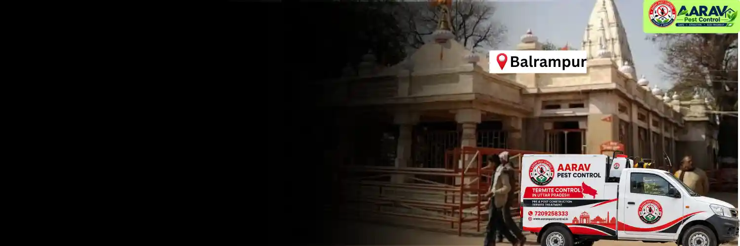 termite control in balrampur, termite treatment in balrampur, best termite control balrampur, termite pest control balrampur, termite inspection balrampur, anti termite treatment balrampur, pre construction termite treatment balrampur, post construction termite treatment balrampur, termite control price in balrampur, termite treatment cost balrampur, aarav pest control balrampur, termite control in uttar pradesh, termite treatment in uttar pradesh, best termite control in uttar pradesh, termite control company uttar pradesh, aarav pest control uttar pradesh.