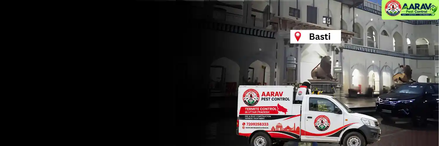 termite control in basti, termite treatment in basti, termite infestation control basti, termite removal basti, termite protection service basti, termite checking service basti, termite pest control basti, home termite treatment basti, office termite control basti, termite treatment charges basti, termite control price basti, termite control company basti, aarav pest control basti, termite control services uttar pradesh, termite treatment company uttar pradesh, termite protection in uttar pradesh, aarav pest control uttar pradesh.