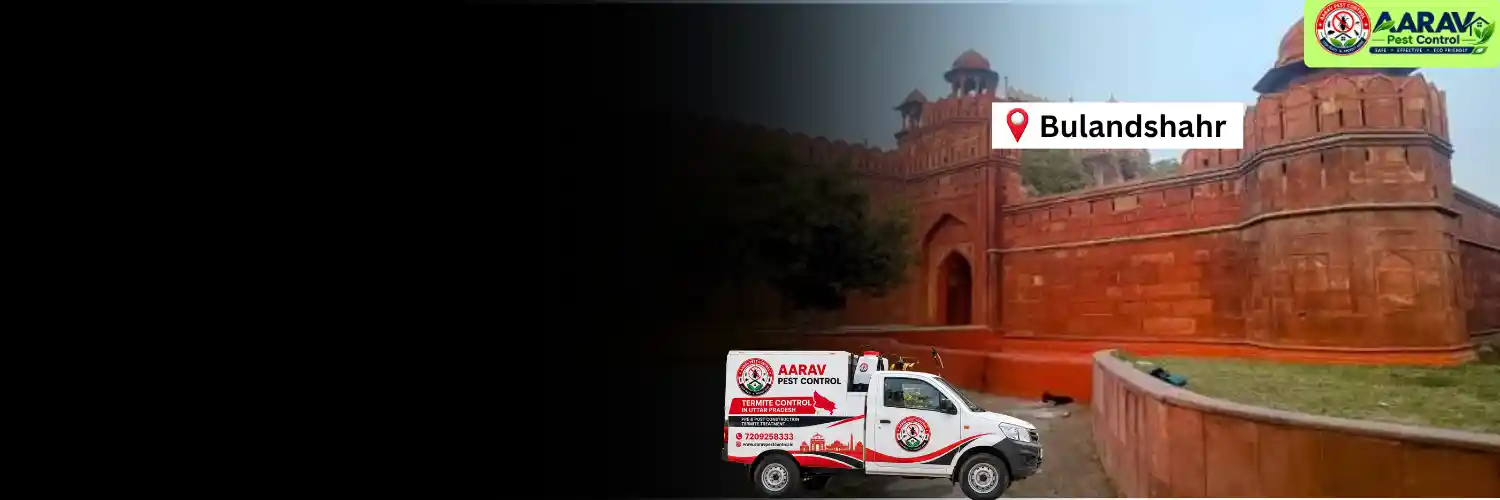termite control in bulandshahr, termite treatment in bulandshahr, termite control service bulandshahr, termite treatment service bulandshahr, termite protection bulandshahr, termite problem solution bulandshahr, termite inspection bulandshahr, termite removal bulandshahr, residential termite treatment bulandshahr, commercial termite control bulandshahr, termite price in bulandshahr, termite treatment price in bulandshahr, termite control charges bulandshahr, termite treatment cost bulandshahr, termite service near me bulandshahr, aarav pest control bulandshahr, termite control services uttar pradesh, termite treatment in uttar pradesh, termite protection services uttar pradesh, aarav pest control uttar pradesh