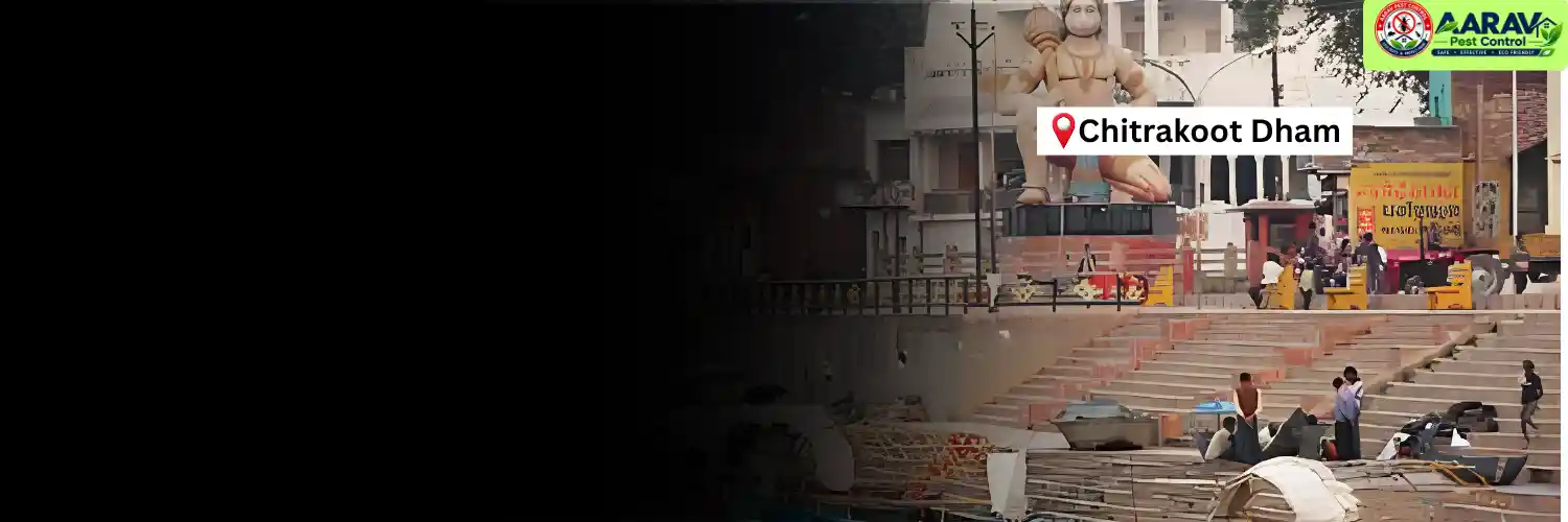 termite control in chitrakoot, termite treatment chitrakoot, termite pest control chitrakoot, termite protection service chitrakoot, termite infestation control chitrakoot, termite inspection chitrakoot, termite removal service chitrakoot, house termite treatment chitrakoot, commercial termite control chitrakoot, termite price in chitrakoot, termite treatment price chitrakoot, termite control charges chitrakoot, termite treatment cost chitrakoot, termite control company chitrakoot, termite service near me chitrakoot, aarav pest control chitrakoot, termite control services uttar pradesh, termite treatment in uttar pradesh, termite protection uttar pradesh, aarav pest control uttar pradesh
