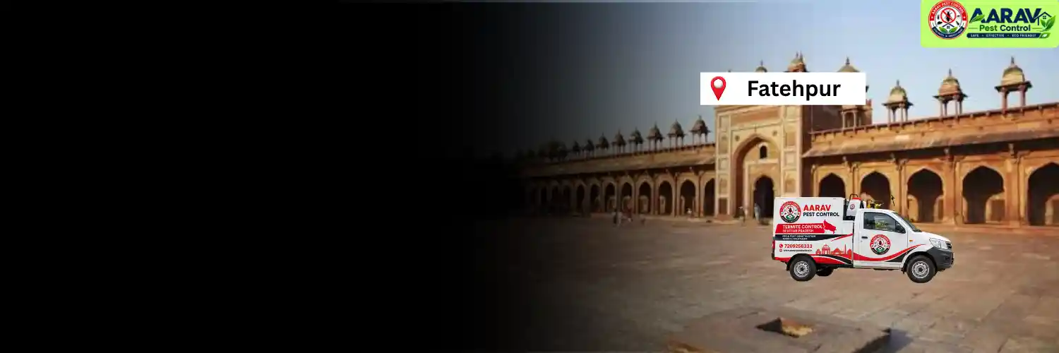 termite control in fatehpur, termite treatment in fatehpur, termite treatment service fatehpur, termite control solution fatehpur, termite protection service fatehpur, termite inspection fatehpur, termite infestation control fatehpur, termite removal treatment fatehpur, house termite control fatehpur, office termite treatment fatehpur, termite price in fatehpur, termite treatment price fatehpur, termite control cost fatehpur, termite charges in fatehpur, termite treatment company fatehpur, termite control company fatehpur, aarav pest control fatehpur, termite control services uttar pradesh, termite treatment in uttar pradesh, termite protection services uttar pradesh, aarav pest control uttar pradesh