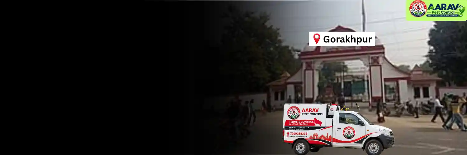 termite control in gorakhpur, termite treatment in gorakhpur, termite control company gorakhpur, termite pest control gorakhpur, termite protection service gorakhpur, termite inspection gorakhpur, termite infestation treatment gorakhpur, termite removal service gorakhpur, home termite treatment gorakhpur, commercial termite control gorakhpur, termite price in gorakhpur, termite treatment price gorakhpur, termite control price gorakhpur, termite charges gorakhpur, termite treatment cost gorakhpur, termite service near me gorakhpur, aarav pest control gorakhpur, termite control services uttar pradesh, termite treatment company uttar pradesh, termite protection services uttar pradesh, aarav pest control uttar pradesh.