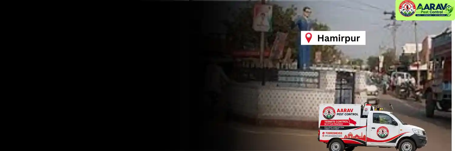 termite control in hamirpur, termite treatment hamirpur, termite solution service hamirpur, termite pest management hamirpur, termite protection treatment hamirpur, termite checking service hamirpur, termite infestation removal hamirpur, house termite control hamirpur, building termite treatment hamirpur, termite price in hamirpur, termite treatment price hamirpur, termite control price hamirpur, termite charges hamirpur, termite treatment cost hamirpur, termite control company hamirpur, aarav pest control hamirpur, termite control services uttar pradesh, termite treatment company uttar pradesh, termite protection in uttar pradesh, aarav pest control uttar pradesh.