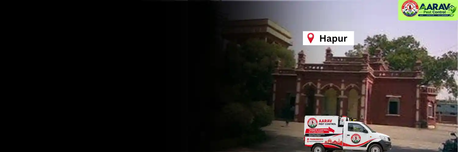 termite control in hapur, termite treatment hapur, termite control company hapur, termite pest control hapur, termite protection service hapur, termite inspection hapur, termite infestation solution hapur, termite removal service hapur, home termite treatment hapur, commercial termite control hapur, termite price in hapur, termite treatment price hapur, termite control charges hapur, termite treatment cost hapur, termite service near me hapur, termite control service hapur, aarav pest control hapur, termite control services uttar pradesh, termite treatment company uttar pradesh, termite protection services uttar pradesh, aarav pest control uttar pradesh.