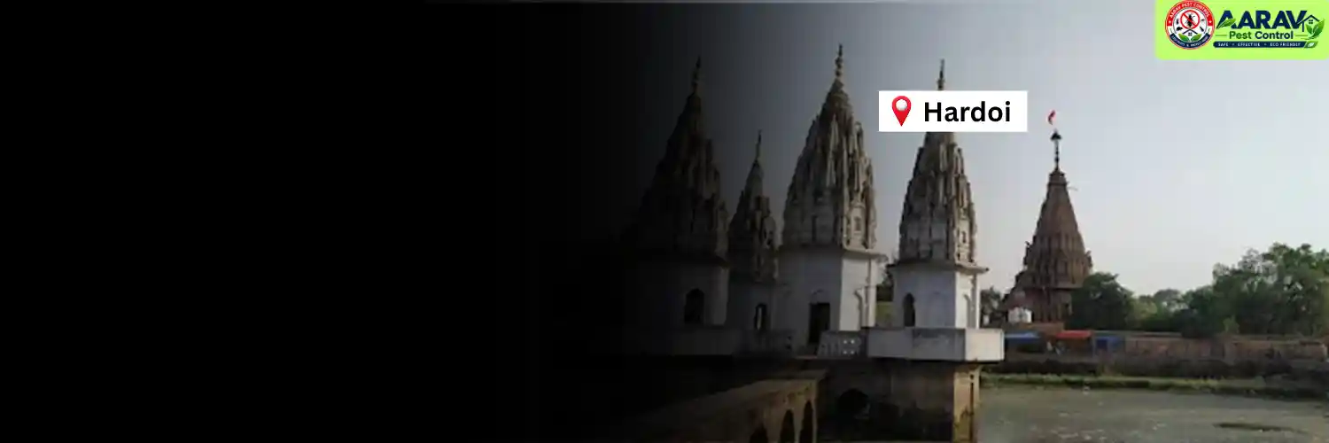 termite control in hardoi, termite treatment hardoi, termite control service hardoi, termite pest control hardoi, termite protection hardoi, termite inspection service hardoi, termite infestation solution hardoi, termite removal service hardoi, residential termite treatment hardoi, commercial termite control hardoi, termite price in hardoi, termite treatment price hardoi, termite control price hardoi, termite charges hardoi, termite treatment cost hardoi, termite control company hardoi, aarav pest control hardoi, termite control services uttar pradesh, termite treatment company uttar pradesh, termite protection services uttar pradesh, aarav pest control uttar pradesh.
