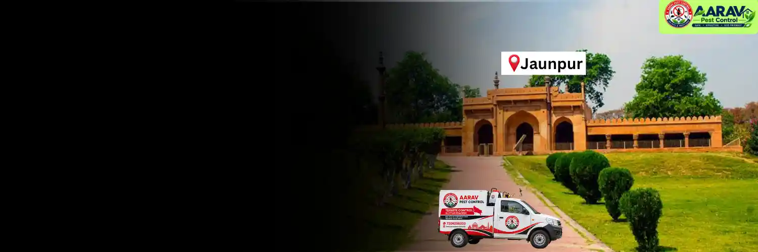 termite control in jaunpur, termite treatment in jaunpur, termite control services jaunpur, termite protection jaunpur, termite pest control jaunpur, termite inspection service jaunpur, termite infestation treatment jaunpur, termite removal service jaunpur, home termite treatment jaunpur, commercial termite control jaunpur, termite price in jaunpur, termite treatment price jaunpur, termite control price jaunpur, termite charges in jaunpur, termite treatment cost jaunpur, termite control company jaunpur, termite service near me jaunpur, aarav pest control jaunpur, termite control services uttar pradesh, termite treatment in uttar pradesh, termite protection company uttar pradesh, aarav pest control uttar pradesh.