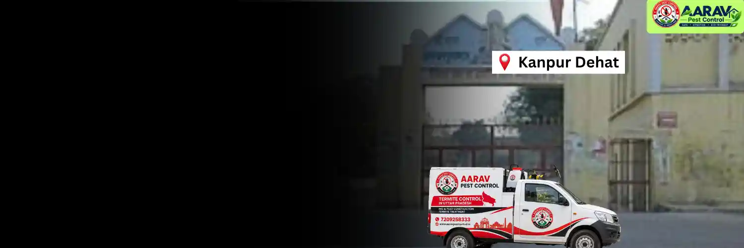 termite control in kanpur dehat, termite treatment kanpur dehat, termite control service kanpur dehat, termite protection kanpur dehat, termite pest control kanpur dehat, termite inspection kanpur dehat, termite infestation solution kanpur dehat, termite removal service kanpur dehat, home termite treatment kanpur dehat, commercial termite control kanpur dehat, termite price in kanpur dehat, termite treatment price kanpur dehat, termite control charges kanpur dehat, termite treatment cost kanpur dehat, termite control company kanpur dehat, aarav pest control kanpur dehat, termite control services uttar pradesh, termite treatment company uttar pradesh, termite protection services uttar pradesh, aarav pest control uttar pradesh.