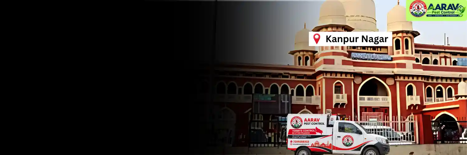termite control in kanpur nagar, termite treatment in kanpur nagar, termite pest control kanpur nagar, termite protection service kanpur nagar, termite inspection kanpur nagar, termite infestation treatment kanpur nagar, termite removal service kanpur nagar, residential termite treatment kanpur nagar, commercial termite control kanpur nagar, termite price in kanpur nagar, termite treatment price kanpur nagar, termite control price kanpur nagar, termite charges kanpur nagar, termite treatment cost kanpur nagar, termite control company kanpur nagar, termite service near me kanpur nagar, aarav pest control kanpur nagar, termite control services uttar pradesh, termite treatment company uttar pradesh, termite protection services uttar pradesh, aarav pest control uttar pradesh.