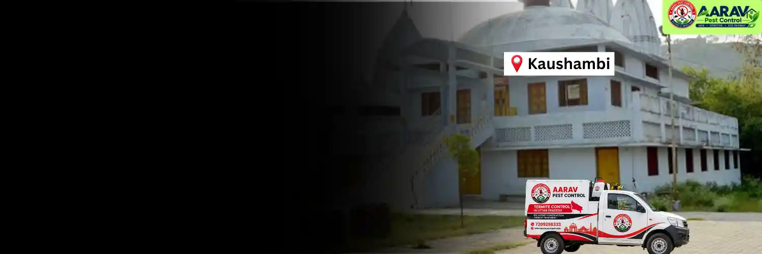 termite control in kaushambi, termite treatment kaushambi, termite control service kaushambi, termite protection treatment kaushambi, termite pest control kaushambi, termite inspection service kaushambi, termite infestation removal kaushambi, termite treatment for house kaushambi, termite control for buildings kaushambi, termite price in kaushambi, termite treatment price kaushambi, termite control price kaushambi, termite service charges kaushambi, termite treatment cost kaushambi, termite control company kaushambi, termite service near me kaushambi, aarav pest control kaushambi, termite control services uttar pradesh, termite treatment company uttar pradesh, termite protection services uttar pradesh, aarav pest control uttar pradesh.
