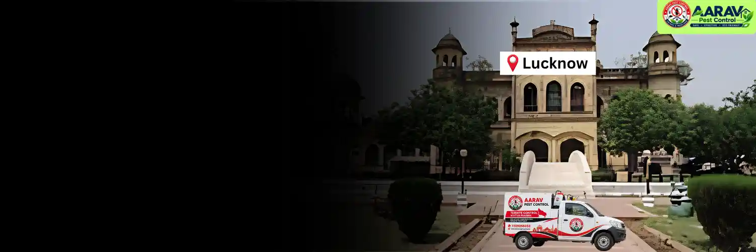 termite control in lucknow, termite treatment lucknow, termite control service lucknow, termite pest control lucknow, termite protection lucknow, termite inspection service lucknow, termite infestation solution lucknow, termite removal treatment lucknow, residential termite control lucknow, commercial termite treatment lucknow, termite price in lucknow, termite treatment price lucknow, termite control charges lucknow, termite treatment cost lucknow, termite control company lucknow, termite service near me lucknow, aarav pest control lucknow, termite control services uttar pradesh, termite treatment company uttar pradesh, termite protection services uttar pradesh, aarav pest control uttar pradesh.