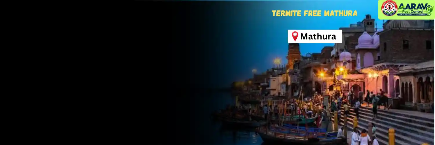 termite control in mathura, termite treatment mathura, termite control services mathura, termite pest control mathura, termite protection treatment mathura, termite inspection mathura, termite infestation solution mathura, termite removal service mathura, home termite treatment mathura, commercial termite control mathura, termite price in mathura, termite treatment price mathura, termite control price mathura, termite charges mathura, termite treatment cost mathura, termite control company mathura, termite service near me mathura, aarav pest control mathura, termite control services uttar pradesh, termite treatment company uttar pradesh, termite protection services uttar pradesh, aarav pest control uttar pradesh.