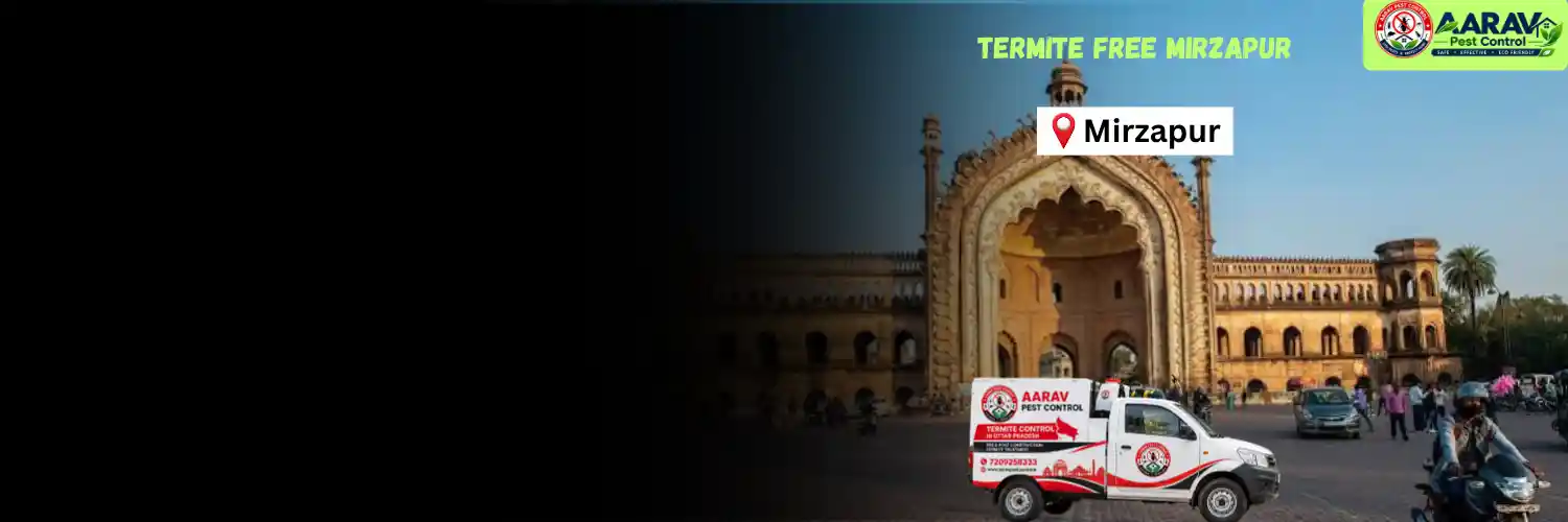 termite control in mirzapur, termite treatment mirzapur, termite control service mirzapur, termite protection mirzapur, termite pest control mirzapur, termite inspection service mirzapur, termite infestation solution mirzapur, termite removal treatment mirzapur, house termite control mirzapur, commercial termite treatment mirzapur, termite price in mirzapur, termite treatment price mirzapur, termite control price mirzapur, termite charges mirzapur, termite treatment cost mirzapur, termite control company mirzapur, termite service near me mirzapur, aarav pest control mirzapur, termite control services uttar pradesh, termite treatment company uttar pradesh, termite protection services uttar pradesh, aarav pest control uttar pradesh.