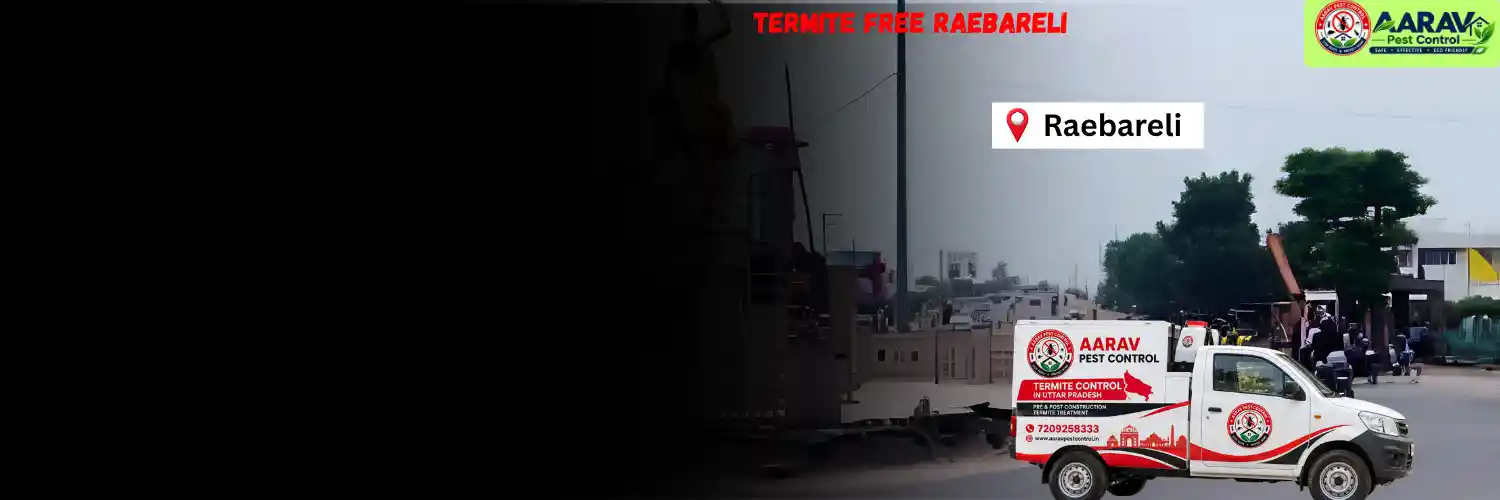 termite control in raebareli, termite treatment raebareli, termite pest control raebareli, termite protection service raebareli, termite control solution raebareli, termite inspection service raebareli, termite infestation treatment raebareli, termite removal service raebareli, home termite treatment raebareli, building termite control raebareli, termite price in raebareli, termite treatment price raebareli, termite control price raebareli, termite charges raebareli, termite treatment cost raebareli, termite control company raebareli, termite service near me raebareli, aarav pest control raebareli, termite control services uttar pradesh, termite treatment company uttar pradesh, termite protection services uttar pradesh, aarav pest control uttar pradesh.