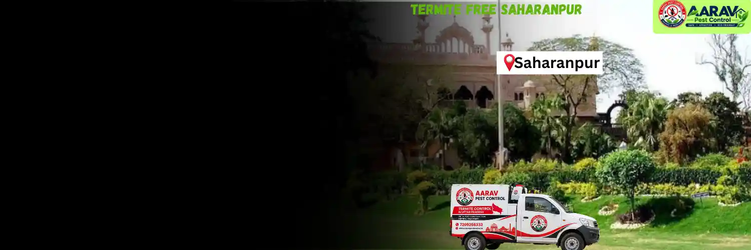 termite control in saharanpur, termite treatment saharanpur, termite control service saharanpur, termite protection saharanpur, termite pest control saharanpur, termite inspection service saharanpur, termite infestation solution saharanpur, termite removal service saharanpur, residential termite treatment saharanpur, commercial termite control saharanpur, termite price in saharanpur, termite treatment price saharanpur, termite control price saharanpur, termite charges saharanpur, termite treatment cost saharanpur, termite control company saharanpur, termite service near me saharanpur, aarav pest control saharanpur, termite control services uttar pradesh, termite treatment company uttar pradesh, termite protection services uttar pradesh, aarav pest control uttar pradesh.