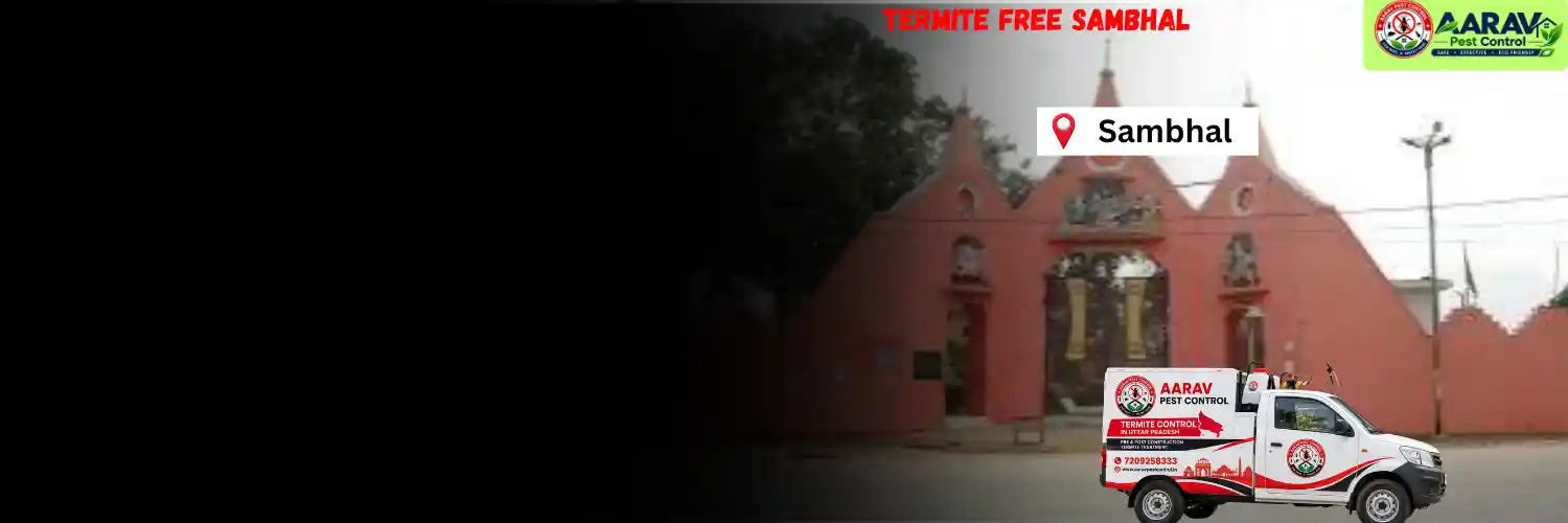 termite control in sambhal, termite treatment sambhal, termite control services sambhal, termite pest control sambhal, termite protection service sambhal, termite inspection sambhal, termite infestation treatment sambhal, termite removal service sambhal, termite treatment for home sambhal, commercial termite control sambhal, termite price in sambhal, termite treatment price sambhal, termite control price sambhal, termite charges sambhal, termite treatment cost sambhal, termite control company sambhal, aarav pest control sambhal, termite control services uttar pradesh, termite treatment company uttar pradesh, termite protection services uttar pradesh, aarav pest control uttar pradesh.