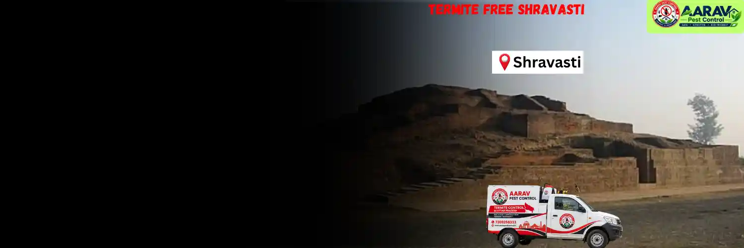 termite treatment in shravasti, termite control in shravasti, termite pest control shravasti, termite protection service shravasti, termite inspection shravasti, termite infestation treatment shravasti, termite removal service shravasti, house termite control shravasti, commercial termite treatment shravasti, termite price in shravasti, termite treatment price shravasti, termite control cost shravasti, termite treatment charges shravasti, termite control company shravasti, termite service near me shravasti, aarav pest control shravasti, termite control services uttar pradesh, termite treatment company uttar pradesh, termite protection services uttar pradesh, aarav pest control uttar pradesh.