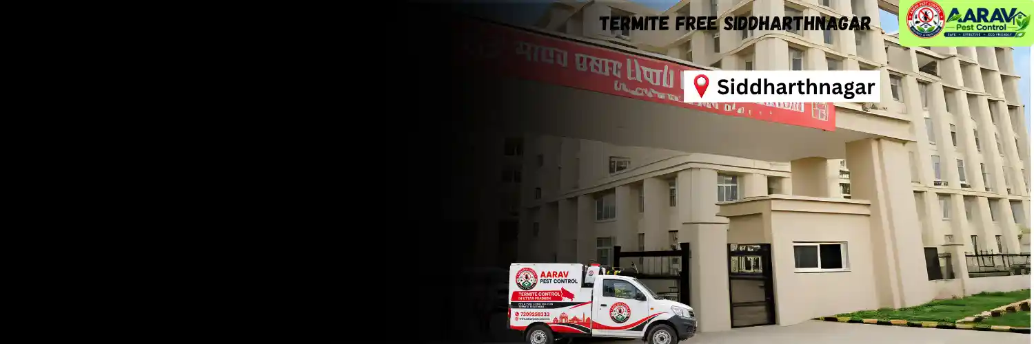 termite control in siddharthnagar, termite treatment siddharthnagar, termite control service siddharthnagar, termite pest control siddharthnagar, termite protection siddharthnagar, termite inspection service siddharthnagar, termite infestation solution siddharthnagar, termite removal service siddharthnagar, residential termite treatment siddharthnagar, commercial termite control siddharthnagar, termite price in siddharthnagar, termite treatment price siddharthnagar, termite control cost siddharthnagar, termite charges siddharthnagar, termite control company siddharthnagar, aarav pest control siddharthnagar, termite control services uttar pradesh, termite treatment company uttar pradesh, termite protection services uttar pradesh, aarav pest control uttar pradesh.