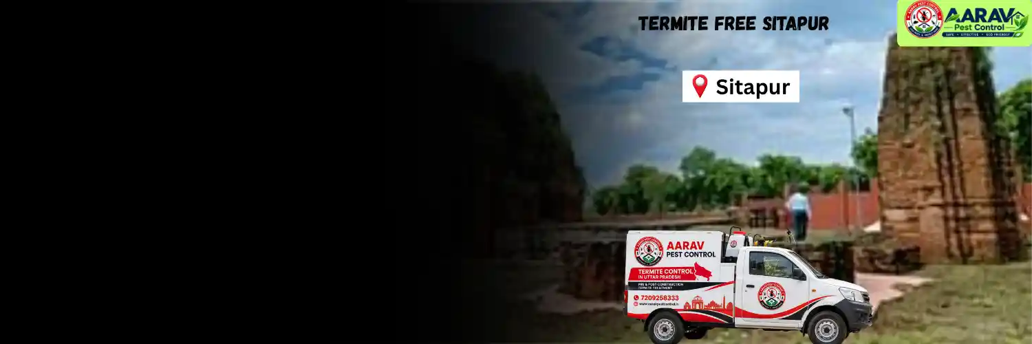 termite control in sitapur, termite treatment sitapur, termite control solution sitapur, termite pest control sitapur, termite protection service sitapur, termite inspection sitapur, termite infestation removal sitapur, termite treatment for home sitapur, termite control for business sitapur, termite price in sitapur, termite treatment price sitapur, termite control charges sitapur, termite treatment cost sitapur, termite control company sitapur, termite service near me sitapur, termite treatment service sitapur, aarav pest control sitapur, termite control services uttar pradesh, termite treatment company uttar pradesh, termite protection services uttar pradesh, aarav pest control uttar pradesh.