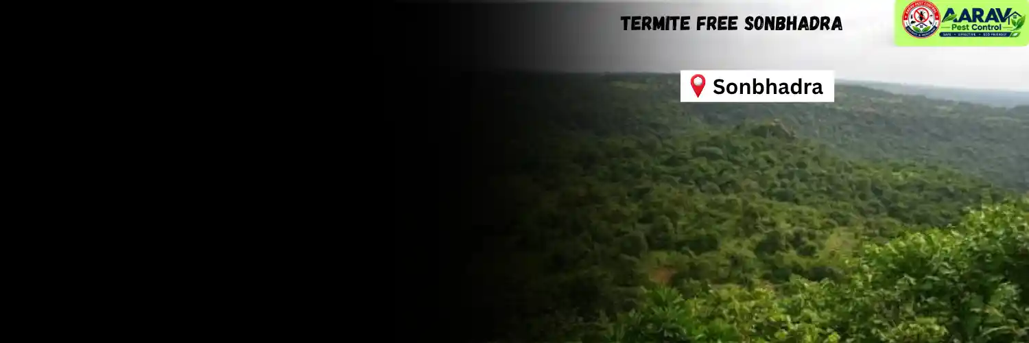 termite control in sonbhadra, termite treatment sonbhadra, termite pest control service sonbhadra, termite protection sonbhadra, termite inspection service sonbhadra, termite infestation solution sonbhadra, termite removal treatment sonbhadra, home termite control sonbhadra, commercial termite treatment sonbhadra, termite price in sonbhadra, termite treatment price sonbhadra, termite control price sonbhadra, termite charges sonbhadra, termite treatment cost sonbhadra, termite control company sonbhadra, termite service near me sonbhadra, aarav pest control sonbhadra, termite control services uttar pradesh, termite treatment company uttar pradesh, termite protection services uttar pradesh, aarav pest control uttar pradesh.