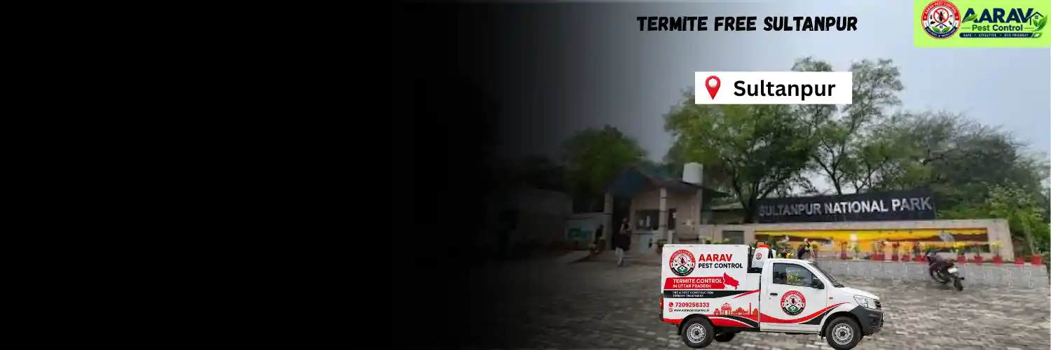 termite control in sultanpur, termite treatment sultanpur, termite control service sultanpur, termite protection sultanpur, termite pest control sultanpur, termite inspection service sultanpur, termite infestation treatment sultanpur, termite removal service sultanpur, residential termite control sultanpur, commercial termite treatment sultanpur, termite price in sultanpur, termite treatment price sultanpur, termite control charges sultanpur, termite treatment cost sultanpur, termite control company sultanpur, termite service near me sultanpur, aarav pest control sultanpur, termite control services uttar pradesh, termite treatment company uttar pradesh, termite protection services uttar pradesh, aarav pest control uttar pradesh.