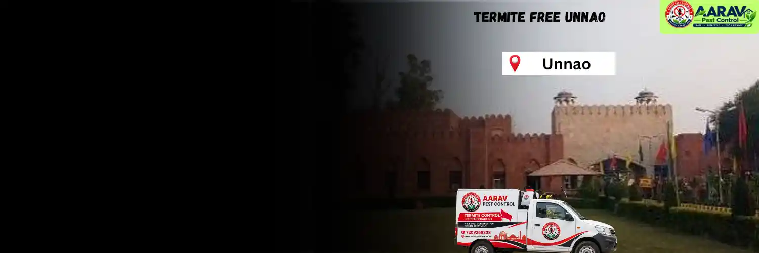 termite treatment in unnao, termite control in unnao, termite pest control unnao, termite protection service unnao, termite inspection unnao, termite infestation treatment unnao, termite removal service unnao, termite treatment for home unnao, termite control for commercial property unnao, termite price in unnao, termite treatment price unnao, termite control charges unnao, termite treatment cost unnao, termite control company unnao, termite service near me unnao, aarav pest control unnao, termite control services uttar pradesh, termite treatment company uttar pradesh, termite protection services uttar pradesh, aarav pest control uttar pradesh.