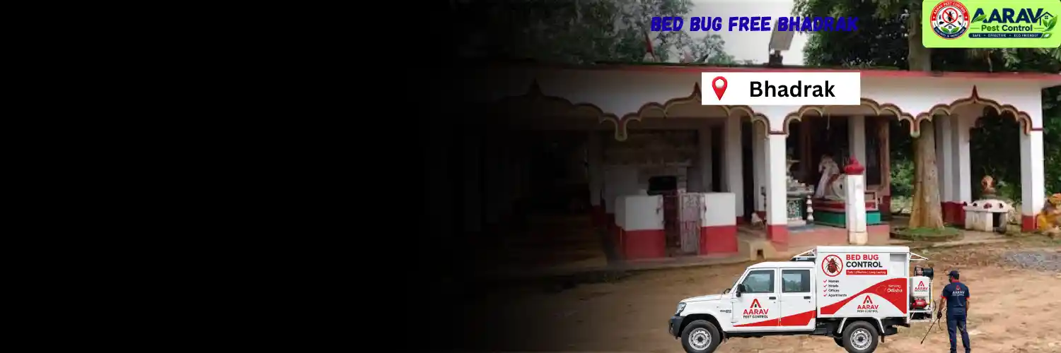 bed bug treatment in bhadrak, bed bug control in bhadrak, bed bug service bhadrak, bed bug price list in bhadrak, bed bug pest control in bhadrak, bed bug removal service bhadrak, bed bug treatment cost bhadrak, professional bed bug control bhadrak, bed bug exterminator in bhadrak, bed bug control near bhadrak, bed bug removal cost bhadrak, bed bug treatment odisha, bed bug control service odisha, bed bug pest control odisha, bed bug removal services in odisha