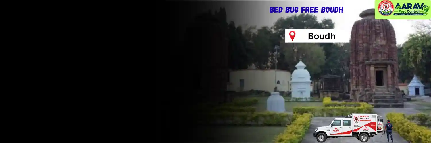 bed bug control in boudh, bed bug service in boudh, bed bug treatment in boudh, bed bug price list in boudh, bed bug removal service boudh, bed bug pest control boudh, bed bug treatment cost in boudh, professional bed bug exterminator boudh, bed bug control cost boudh, bed bug treatment near boudh, affordable bed bug service boudh, bed bug control odisha, bed bug treatment services odisha, bed bug pest control in odisha, bed bug removal service odisha