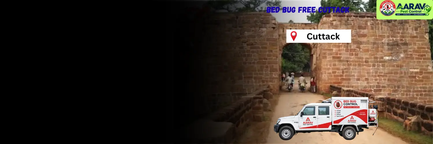 bed bug control in cuttack, bed bug treatment in cuttack, bed bug price list in cuttack, bed bug removal service cuttack, bed bug pest control cuttack, bed bug service near cuttack, bed bug treatment cost in cuttack, professional bed bug control cuttack, bed bug exterminator cuttack, bed bug control cost cuttack, affordable bed bug treatment cuttack, bed bug treatment odisha, bed bug control service odisha, bed bug pest control in odisha, bed bug removal odisha