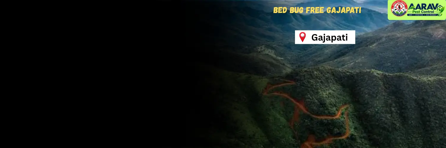 bed bug control in gajapati, bed bug treatment in gajapati, bed bug price list in gajapati, bed bug service in gajapati, bed bug removal service gajapati, bed bug pest control gajapati, bed bug treatment cost in gajapati, professional bed bug control gajapati, bed bug exterminator in gajapati, bed bug removal cost gajapati, bed bug control near gajapati, bed bug treatment odisha, bed bug control services odisha, bed bug pest control in odisha, bed bug removal service odisha