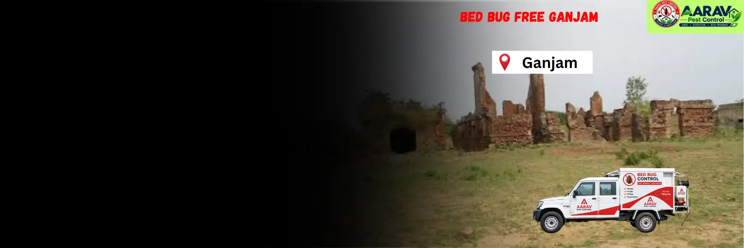 bed bug service in ganjam, bed bug control in ganjam, bed bug treatment in ganjam, bed bug price list in ganjam, bed bug removal service ganjam, bed bug pest control ganjam, bed bug treatment cost in ganjam, professional bed bug exterminator ganjam, bed bug control cost ganjam, bed bug treatment near ganjam, affordable bed bug removal ganjam, bed bug control odisha, bed bug treatment services in odisha, bed bug pest control odisha, bed bug removal service in odisha