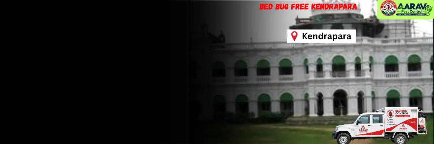 bed bug control in kendrapara, bed bug treatment in kendrapara, bed bug price list in kendrapara, bed bug service kendrapara, bed bug removal service in kendrapara, bed bug pest control kendrapara, bed bug treatment cost kendrapara, professional bed bug control in kendrapara, bed bug exterminator kendrapara, bed bug control cost in kendrapara, bed bug treatment near kendrapara, affordable bed bug removal kendrapara, bed bug control service odisha, bed bug treatment odisha, bed bug pest control in odisha, bed bug removal services odisha