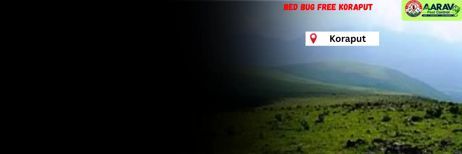 bed bug control in koraput, bed bug service in koraput, bed bug treatment in koraput, bed bug price list in koraput, bed bug removal service koraput, bed bug pest control koraput, bed bug treatment cost in koraput, professional bed bug control koraput, bed bug exterminator in koraput, bed bug control cost koraput, bed bug treatment near koraput, affordable bed bug removal koraput, bed bug control odisha, bed bug treatment service odisha, bed bug pest control in odisha, bed bug removal services odisha