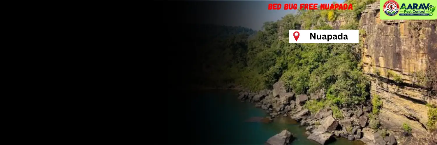 bed bug control in nuapada, bed bug treatment in nuapada, bed bug removal service nuapada, bed bug pest control in nuapada, professional bed bug control nuapada, bed bug exterminator in nuapada, bed bug price list in nuapada, bed bug control price in nuapada, bed bug treatment cost nuapada, affordable bed bug treatment nuapada, residential bed bug control nuapada, mattress bed bug removal nuapada, best bed bug control service nuapada, bed bug treatment service odisha, bed bug control in odisha, bed bug removal service odisha, bed bug pest control odisha, bed bug price list in odisha, bed bug treatment cost in odisha, professional pest control services odisha