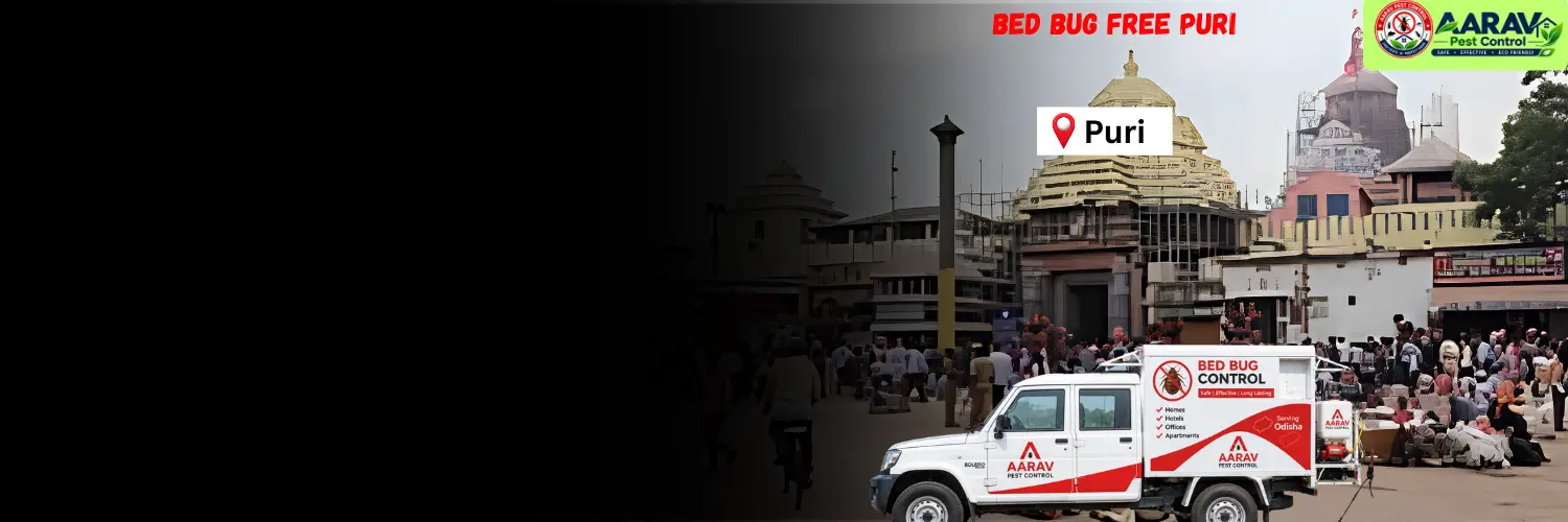 bed bug control in puri, bed bug treatment in puri, bed bug removal service puri, bed bug pest control puri, professional bed bug control in puri, bed bug exterminator puri, bed bug price list in puri, bed bug control price in puri, bed bug treatment cost puri, affordable bed bug treatment in puri, home bed bug control puri, mattress bed bug treatment puri, best bed bug service in puri, bed bug control service in odisha, bed bug treatment in odisha, bed bug removal service odisha, bed bug pest control odisha, bed bug price list in odisha, bed bug treatment cost odisha, professional pest control services in odisha