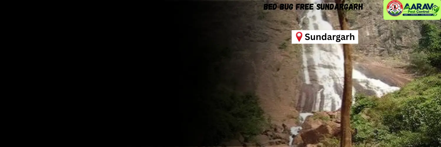 bed bug control in sundargarh, bed bug treatment in sundargarh, bed bug removal service sundargarh, bed bug pest control sundargarh, professional bed bug control in sundargarh, bed bug exterminator sundargarh, bed bug price list in sundargarh, bed bug control price sundargarh, bed bug treatment cost in sundargarh, affordable bed bug treatment sundargarh, residential bed bug control sundargarh, mattress bed bug treatment sundargarh, home bed bug removal sundargarh, best bed bug service in sundargarh, bed bug control service odisha, bed bug treatment in odisha, bed bug removal service odisha, bed bug pest control odisha, bed bug price list odisha, professional pest control in odisha